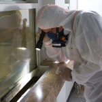 Gain Personalized Healthcare Management from Medicare Advantage Plans 2026