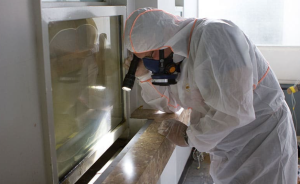 Gain Personalized Healthcare Management from Medicare Advantage Plans 2026