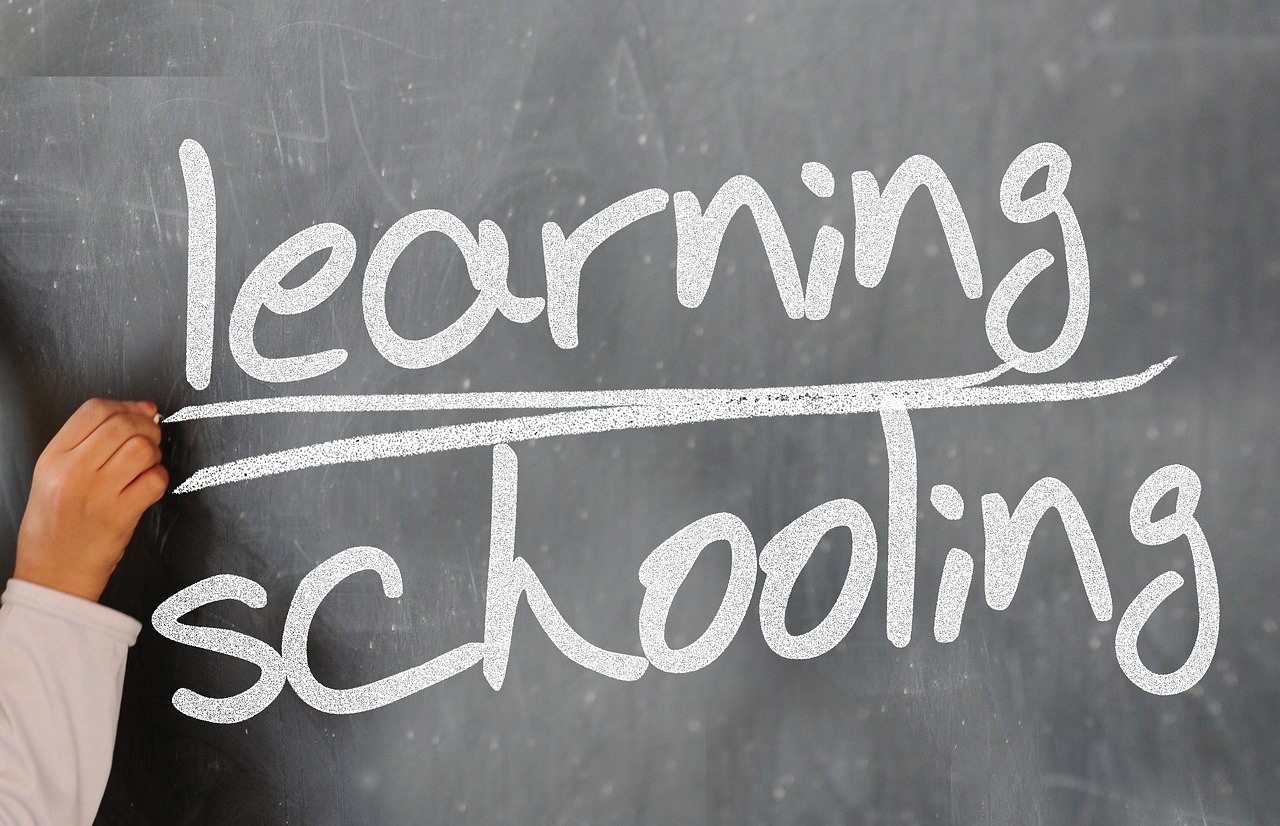 Skills You Can Learn on a Gap Year
